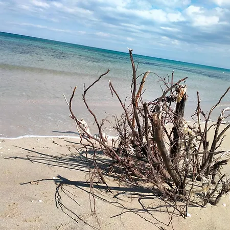 Tempesta Salento * 토레 리날다