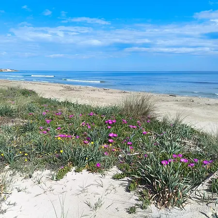 Tempesta Salento * 토레 리날다
