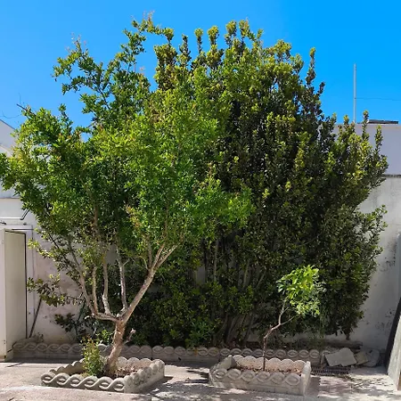 Tempesta Home Salento